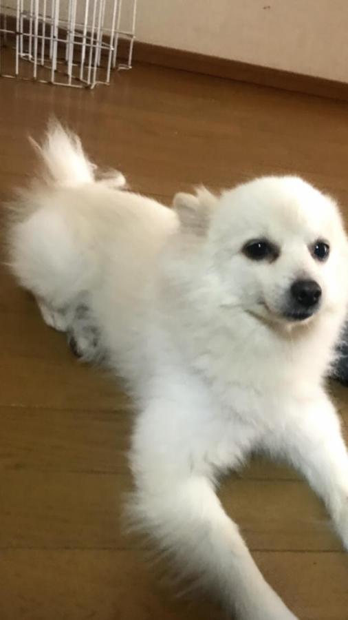 Stay Akeboshi Kan Хакодате Екстер'єр фото
