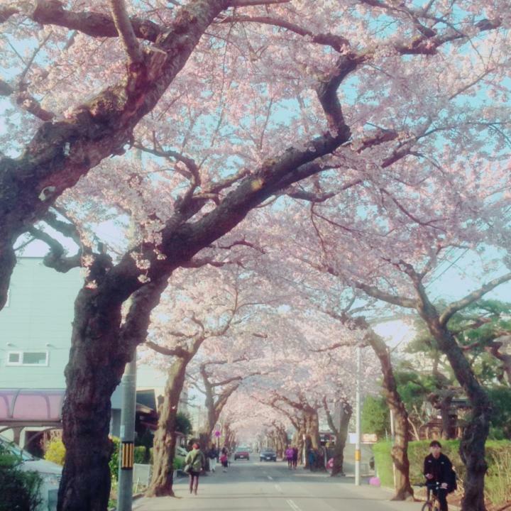 Stay Akeboshi Kan Хакодате Екстер'єр фото